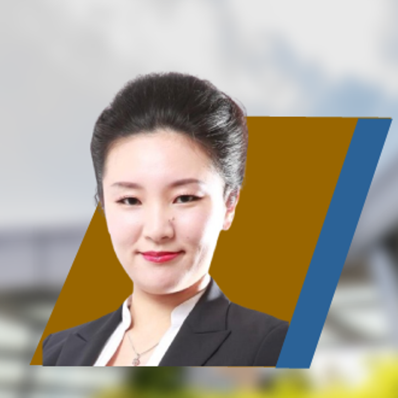 Prof. Danqing WANG